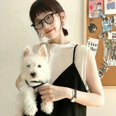 模糊乐队：直到尽头