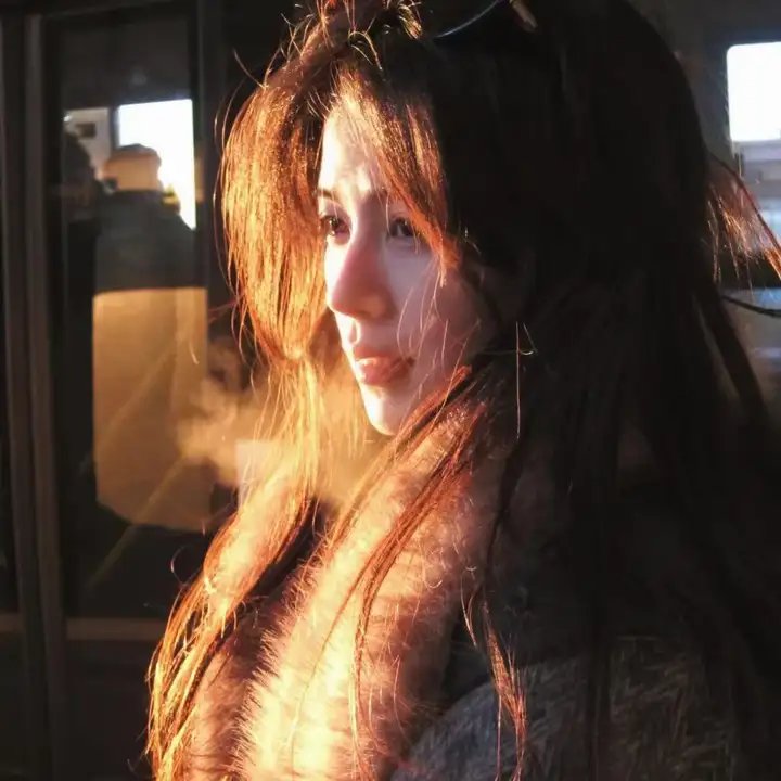 哈莱姆的郁金香